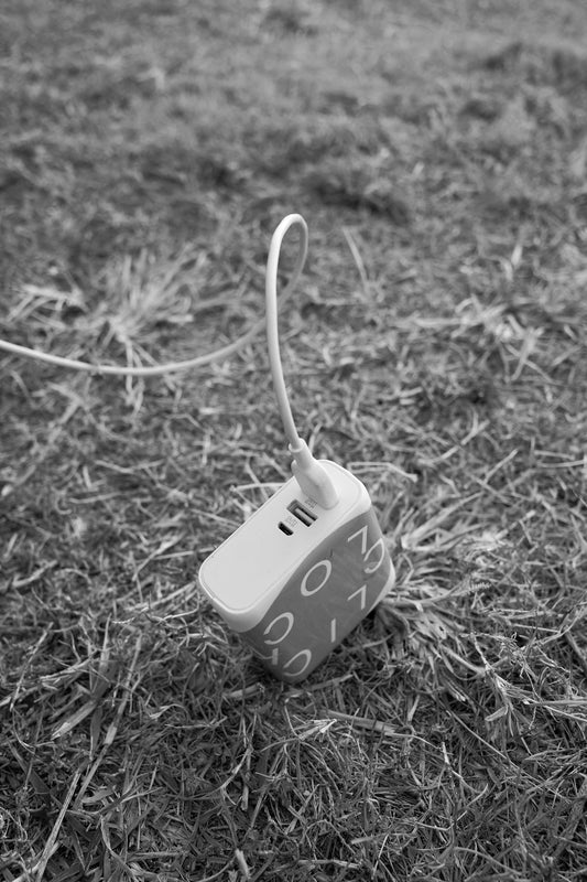 A charger is sitting on grass.